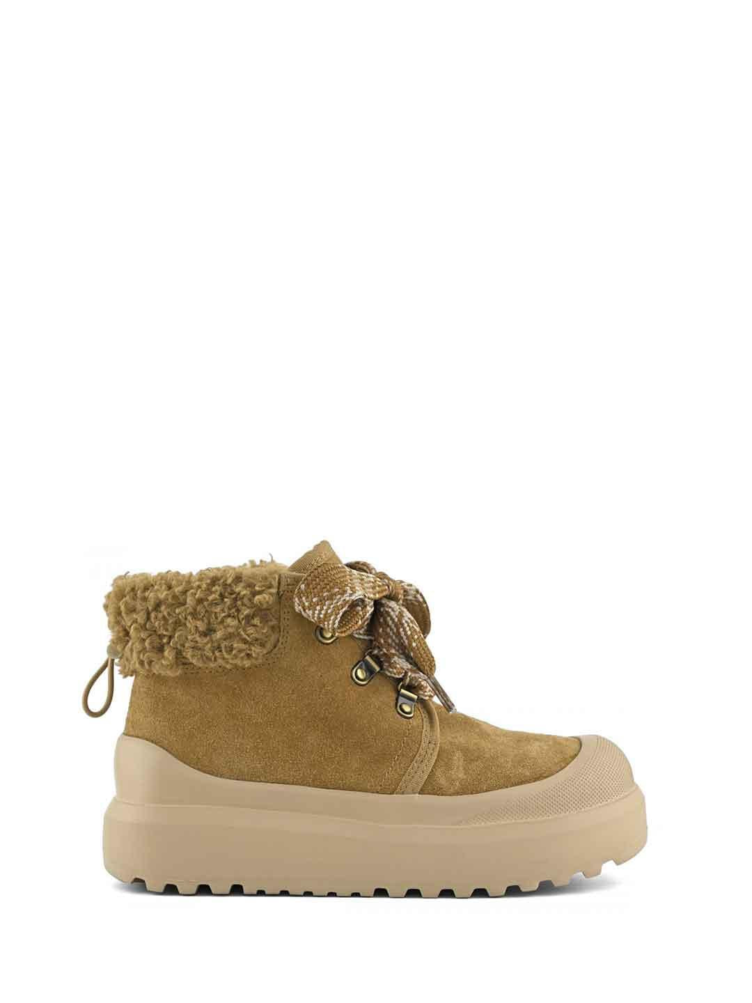 Colors Of California sneakers marrone tab in teddy