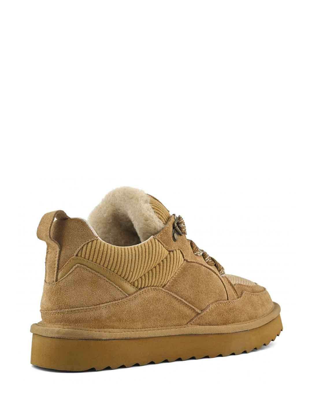 Colors Of California sneakers marrone