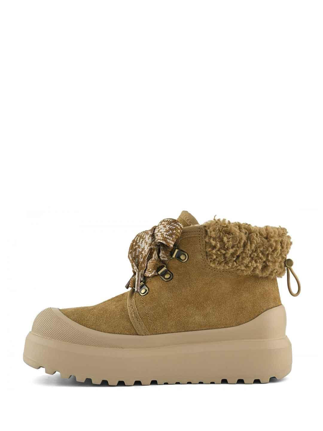 Colors Of California sneakers marrone tab in teddy