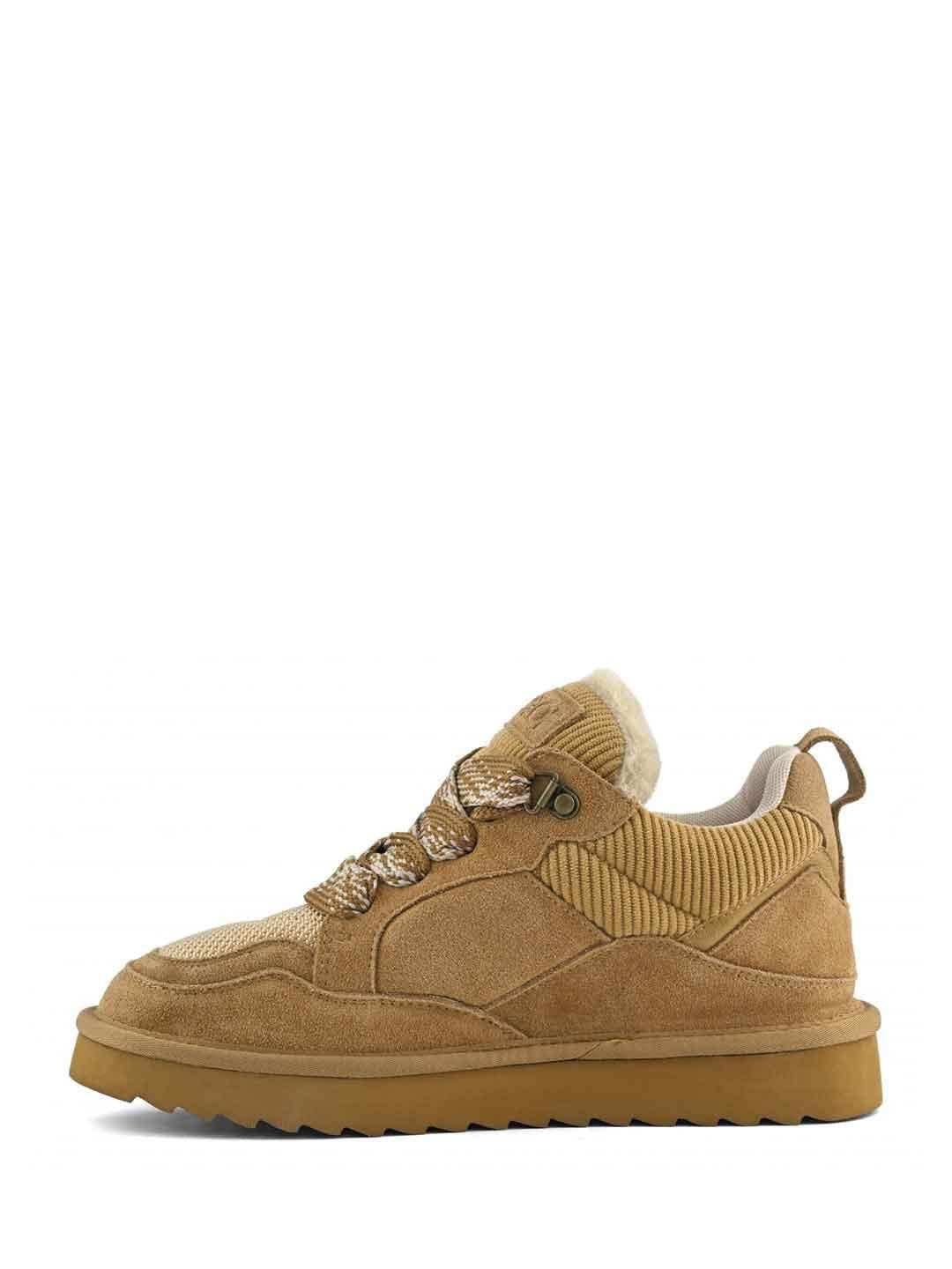 Colors Of California sneakers marrone