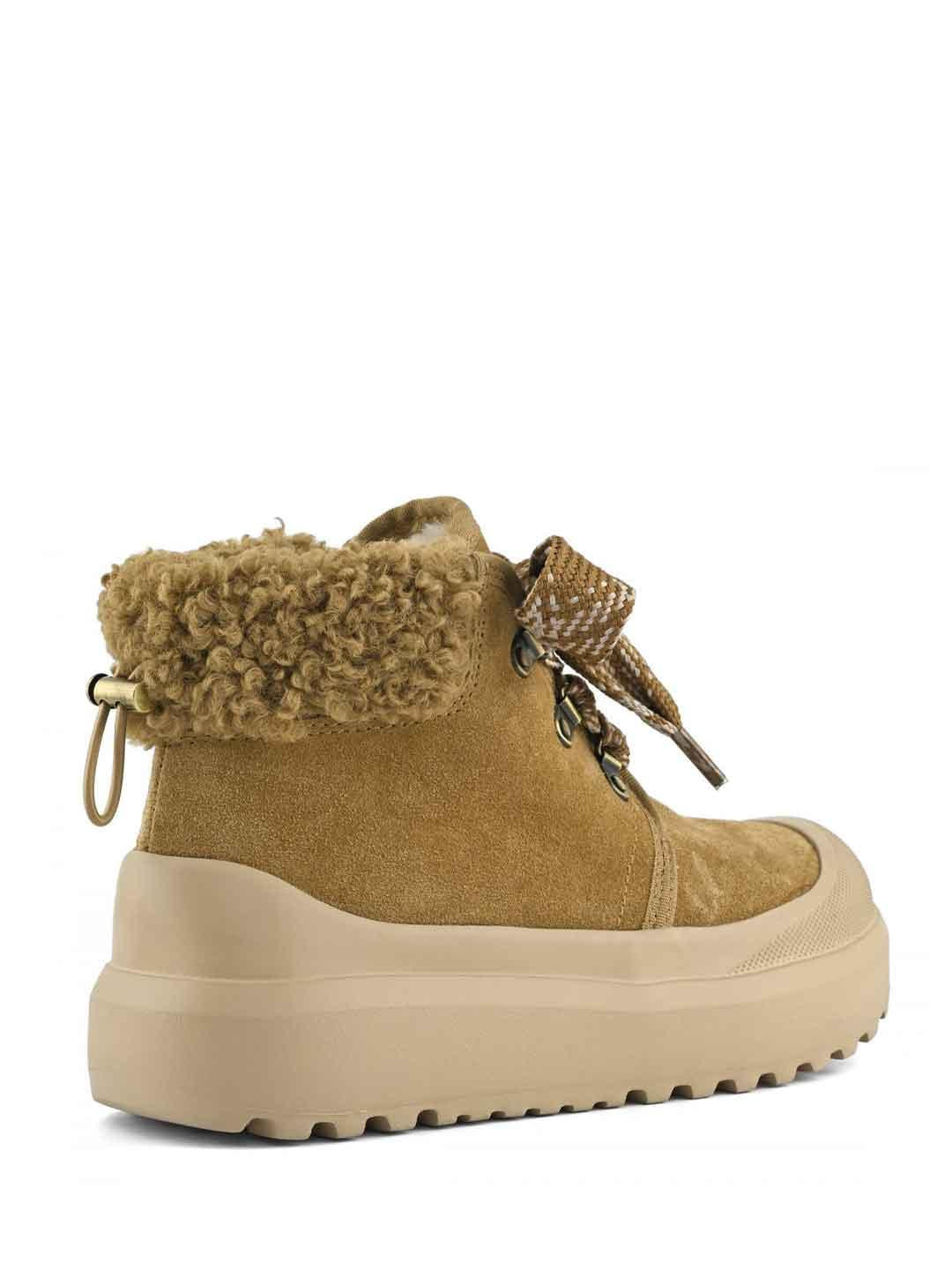 Colors Of California sneakers marrone tab in teddy