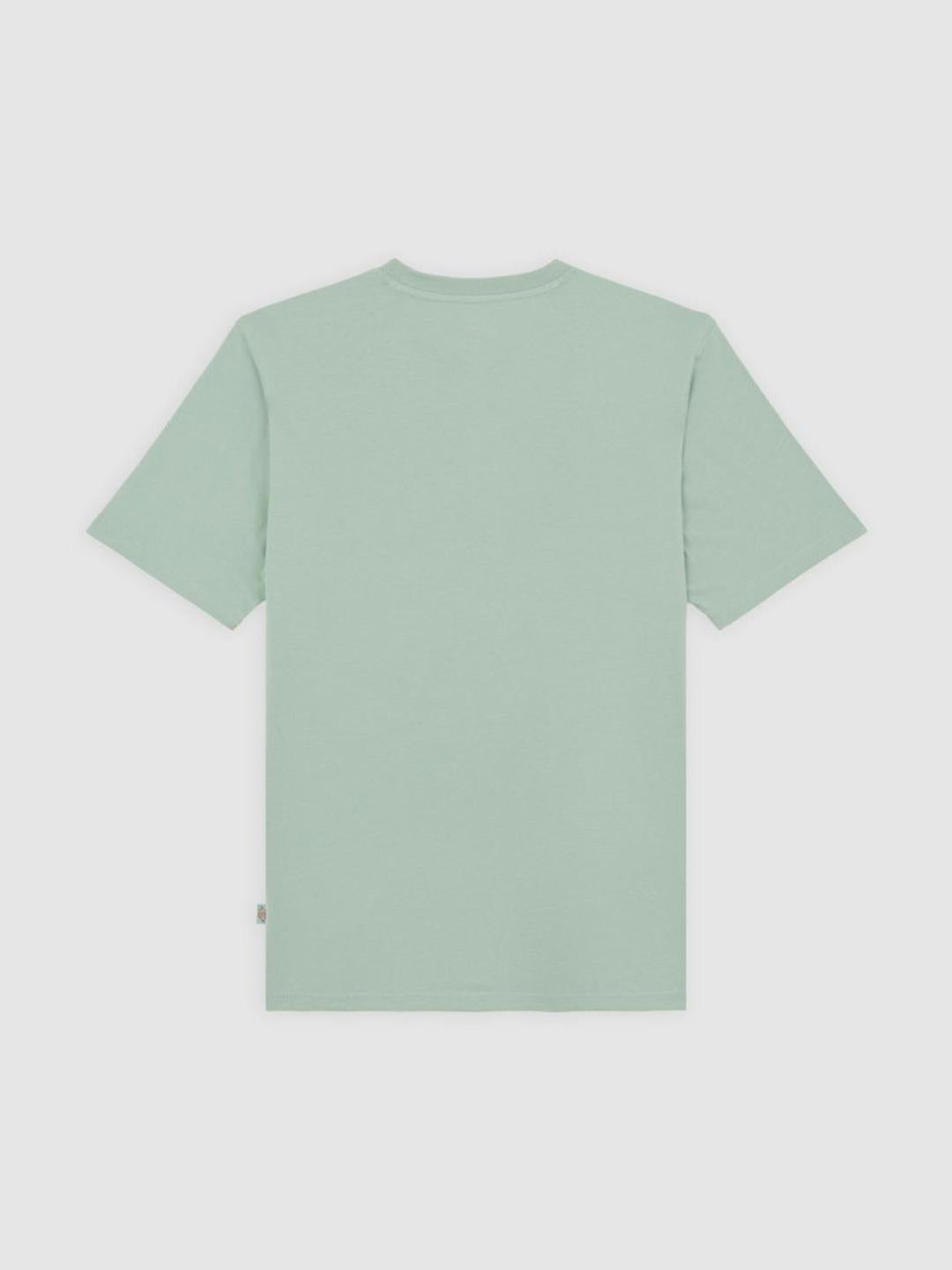 Dickies Mapleton t-shirt verde