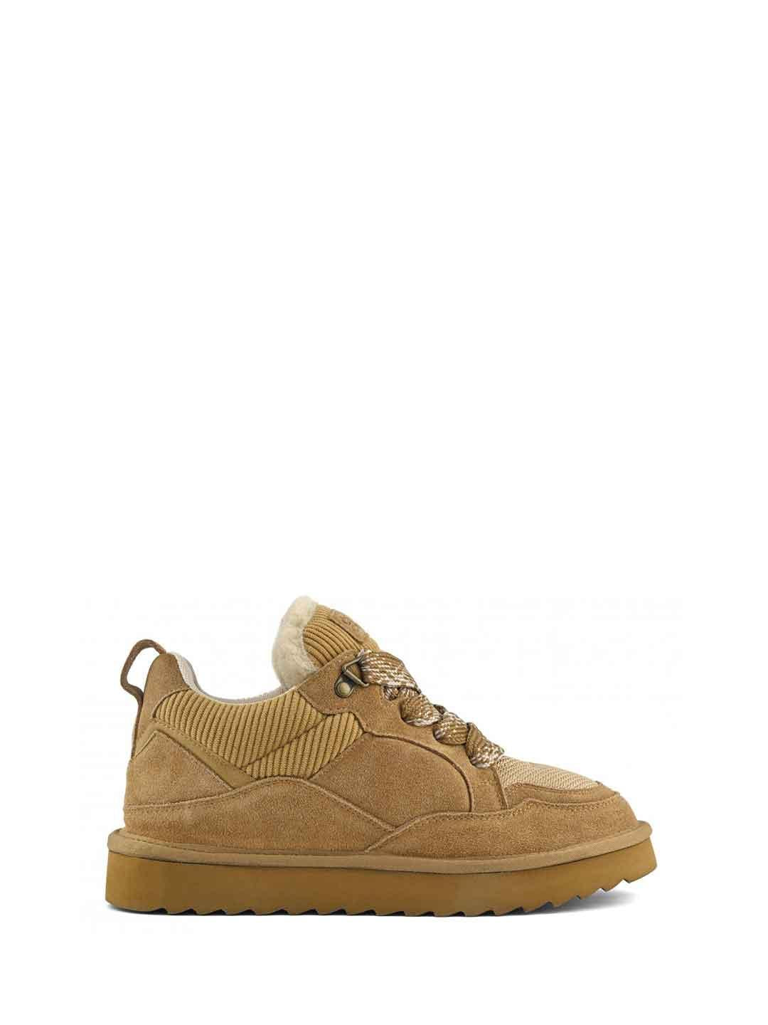 Colors Of California sneakers marrone