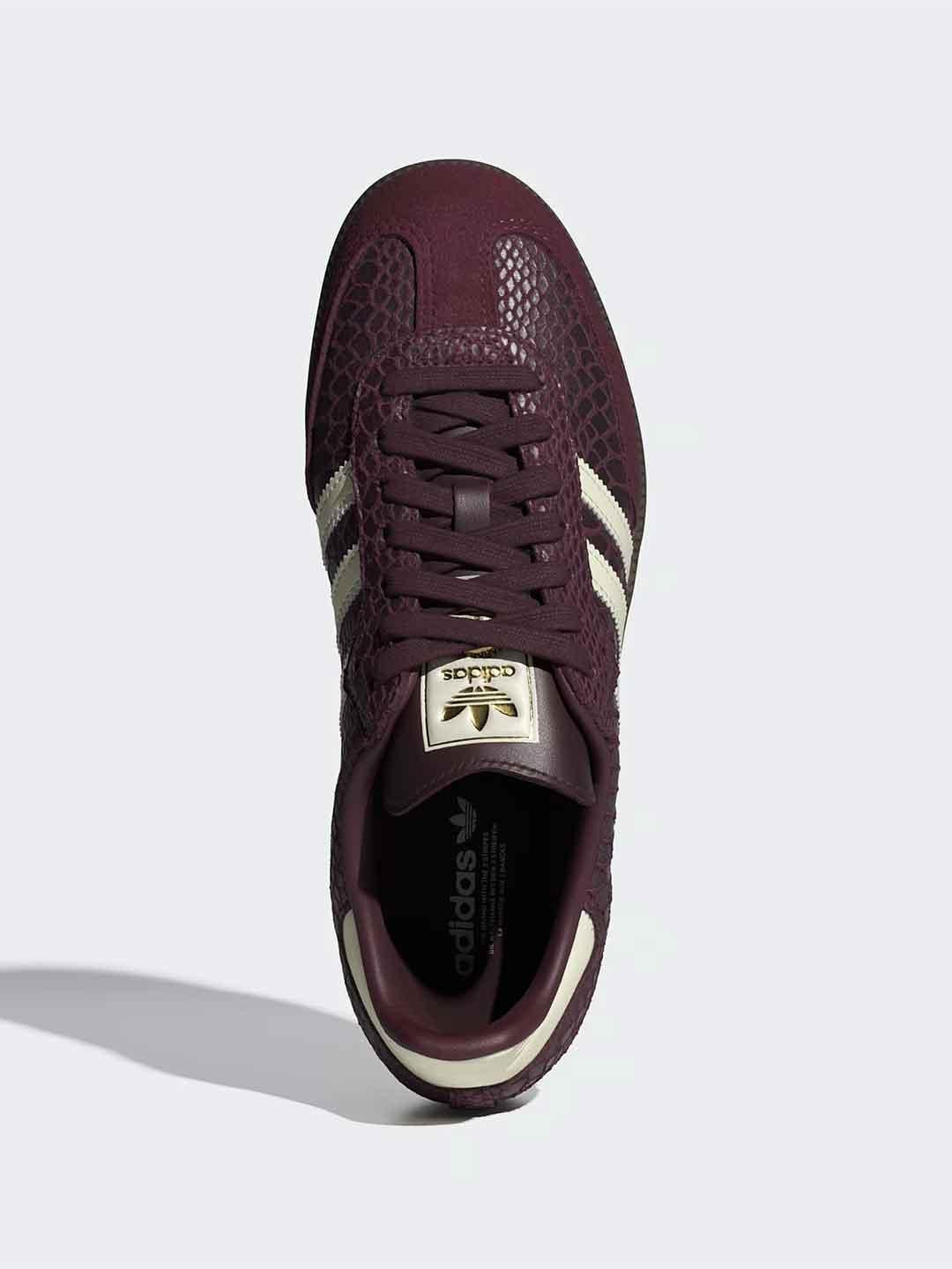 Adidas Samba OG sneakers bordeaux pitonate